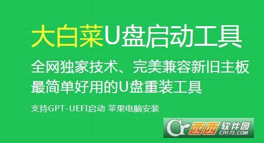 大白菜,U盘,制作工具.